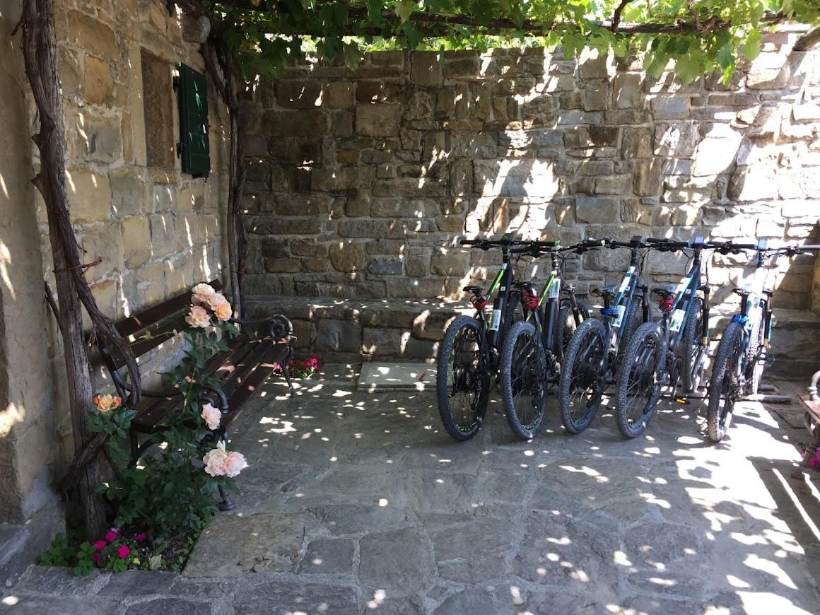 Apartments Padna Goja Dış mekan fotoğraf