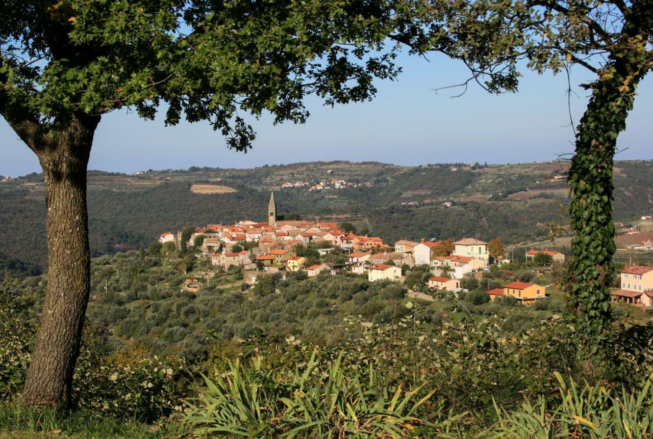 Apartments Padna Goja Dış mekan fotoğraf